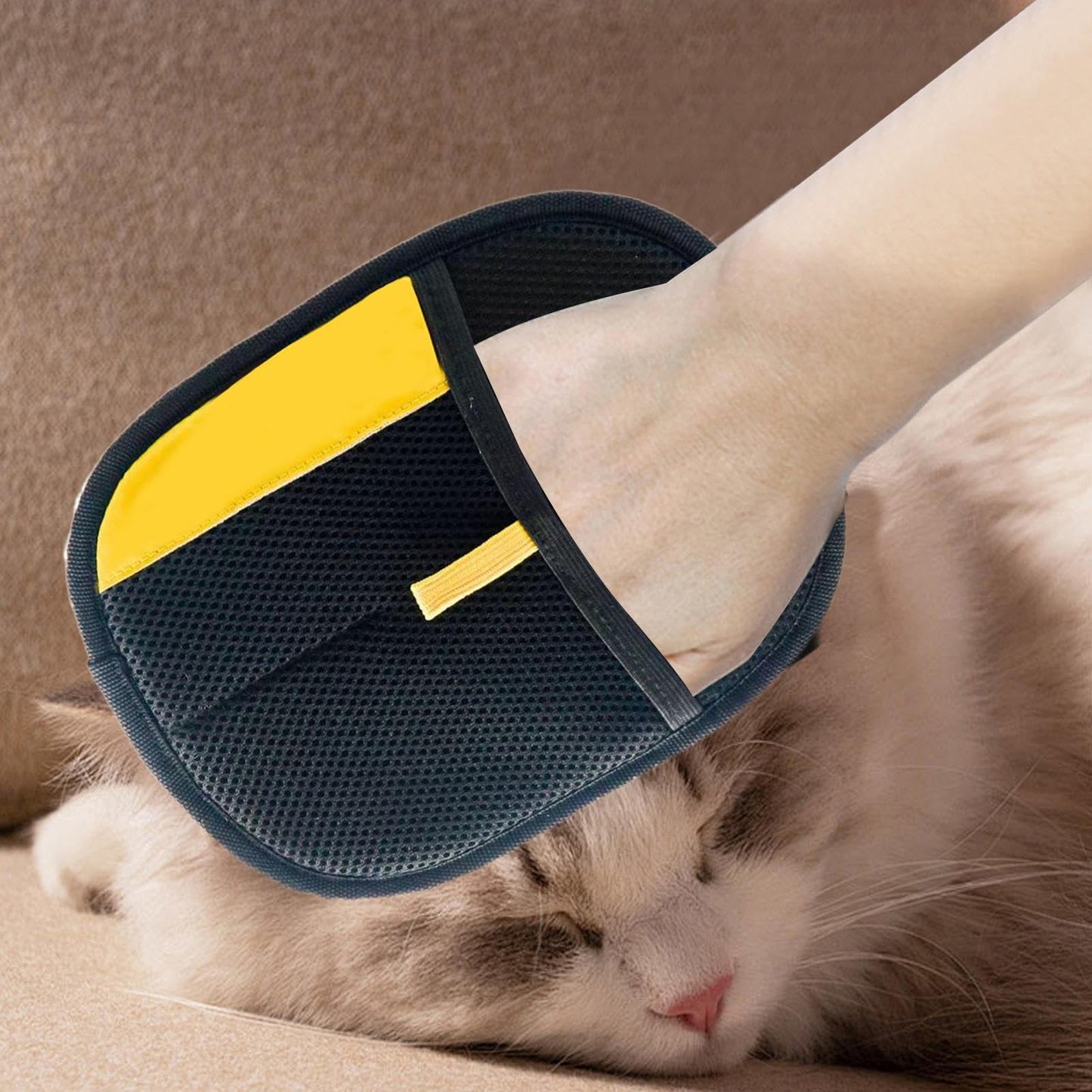 Gants de brossage pour poils d'animaux de compagnie
