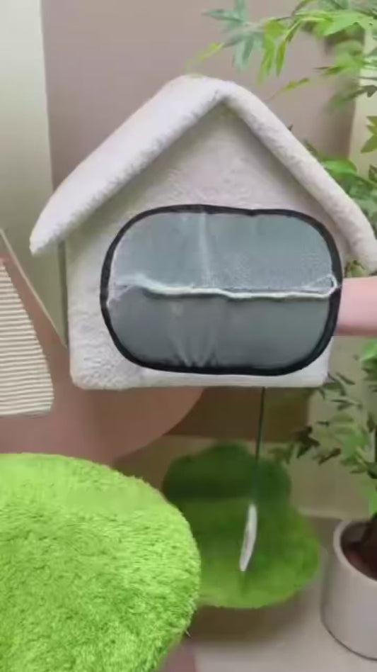 Gants de brossage pour poils d'animaux de compagnie